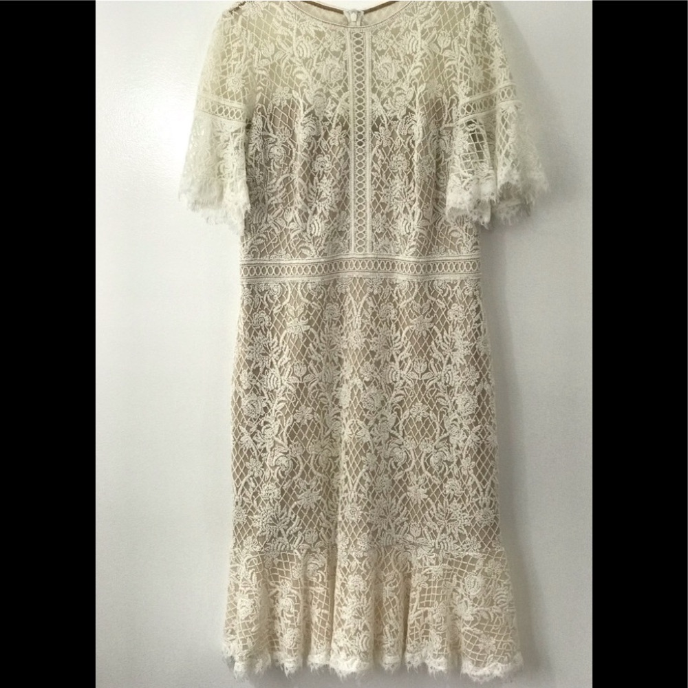 Tadashi Shoji Bridal Dress 16